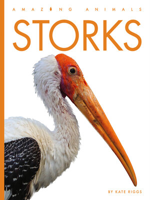 cover image of Storks